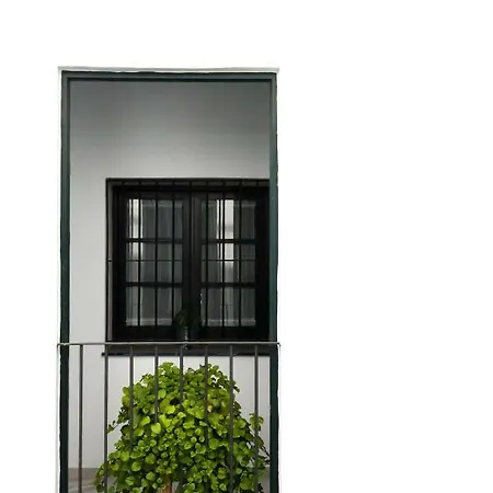 Daire San Eloy Dream By Valcambre Sevilla